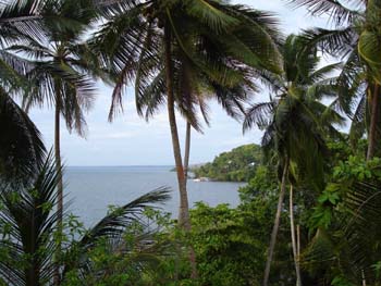 Vue du terrain de 2.5 has de Bocas del Toro, Panama